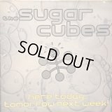 The Sugarcubes / Here Today, Tomorrow Next Week!