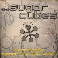The Sugarcubes / Here Today, Tomorrow Next Week!