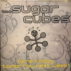 画像1: The Sugarcubes / Here Today, Tomorrow Next Week!