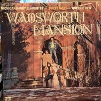 Wadsworth Mansion / Wadsworth Mansion