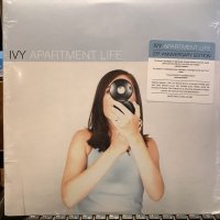 Ivy / Apartment Life