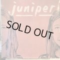 Juniper / Juniper