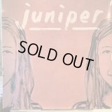 Juniper / Juniper