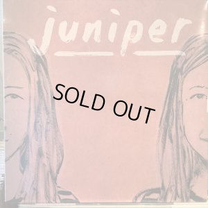 画像1: Juniper / Juniper