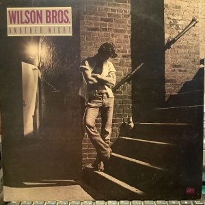 画像1: Wilson Bros. / Another Night