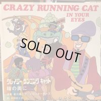 星川薫とザ・メロン・ホーカーズ / Crazy Running Cat