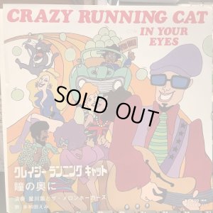 画像1: 星川薫とザ・メロン・ホーカーズ / Crazy Running Cat