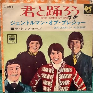 画像1: The Tremeloes / Here Comes My Baby