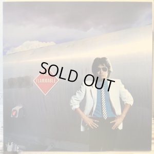 画像1: 浜田省吾 / 約束の地 