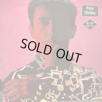 Pete Shelley / No One Like You