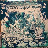 Gorky's Zygotic Mynci / Llanfwrog