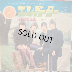画像1: Grapefruit / Elevator