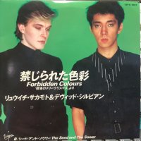 Ryuichi Sakamoto & David Sylvian / Forbidden Colours