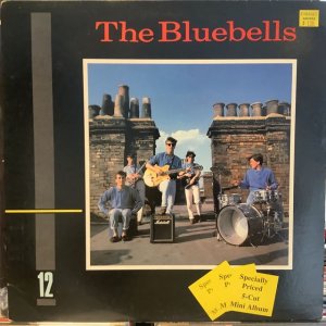 画像1: The Bluebells / The Bluebells