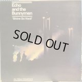 Echo And The Bunnymen / Shine So Hard