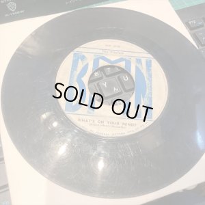 画像2: The Maytals / Never You Change