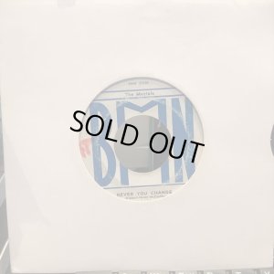 画像1: The Maytals / Never You Change