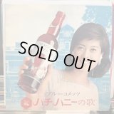 ブルーコメッツ / ハチハニーの歌