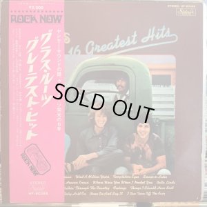 画像1: The Grass Roots / Their 16 Greatest Hits