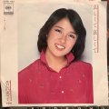 菅沢恵子 / 哀しくて哀しくて