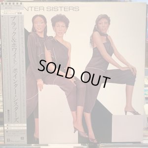 画像1: Pointer Sisters / Black & White
