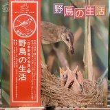 VA / 日本野鳥大全集(1) 野鳥の生活