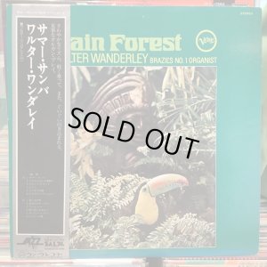 画像1: Walter Wanderley / Rain Forest