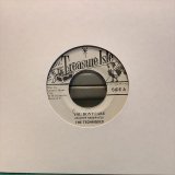 The Techniques / You Don't Care