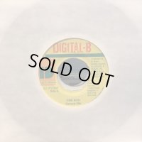 Garnett Silk / The Rod