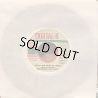 Morgan Heritage / What We Need Is Love