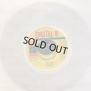 画像1: Sanchez / Cronick