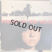 OST / 野性の証明