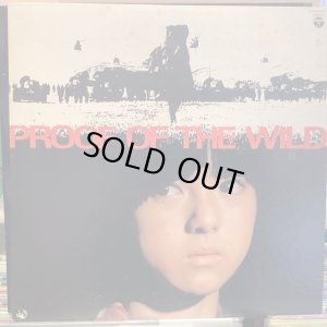 画像1: OST / 野性の証明