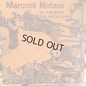 画像1: Marconi Notaro / No Sub Reino Dos Metazoários
