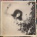 画像2: Patti Smith Group / Wave (2)