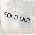 岡田可愛 / 明日へ飛び出せ