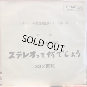 画像1: VA / ステレオって何でしょう
