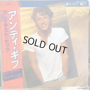 画像1: Andy Gibb / Andy Gibb's Greatest Hits