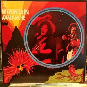 画像1: Mountain / Avalanche