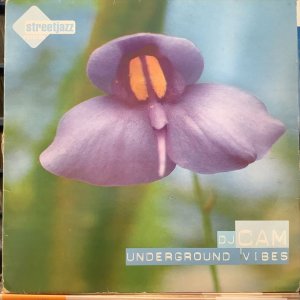 画像1: DJ Cam / Underground Vibes