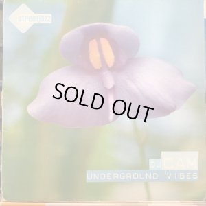 画像1: DJ Cam / Underground Vibes