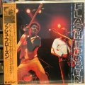Albert Collins / Flash Frozen The Blues Show! Albert Collins Live