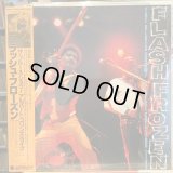 Albert Collins / Flash Frozen The Blues Show! Albert Collins Live