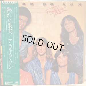 画像1: A Cor Do Som / Frutificar