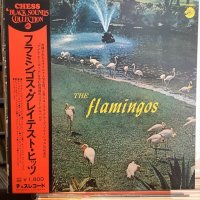 The Flamingos / Flamingos