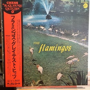 画像1: The Flamingos / Flamingos