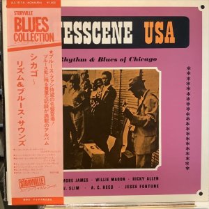 画像1: VA / Chicago - Rhythm & Blues Sounds