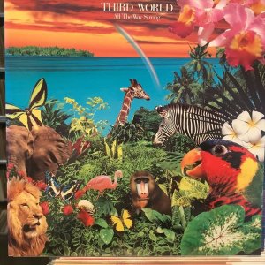 画像1: Third World / All The Way Strong