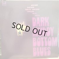VA / Dark Muddy Bottom Blues