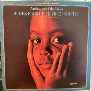 画像1: VA / Blues From The Deep South